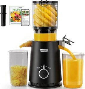 10. ECOSELF Cold Press Juicer Machine