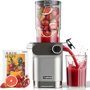 9. Anybear Cold Press Juicer