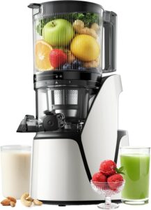 EanOruus 3-in-1 Cold Press Juicer Machine